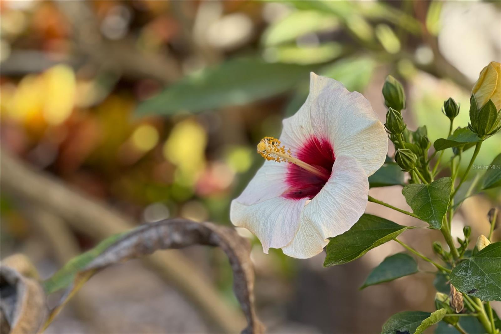 COASTAL POINT 2ND PH - Residential