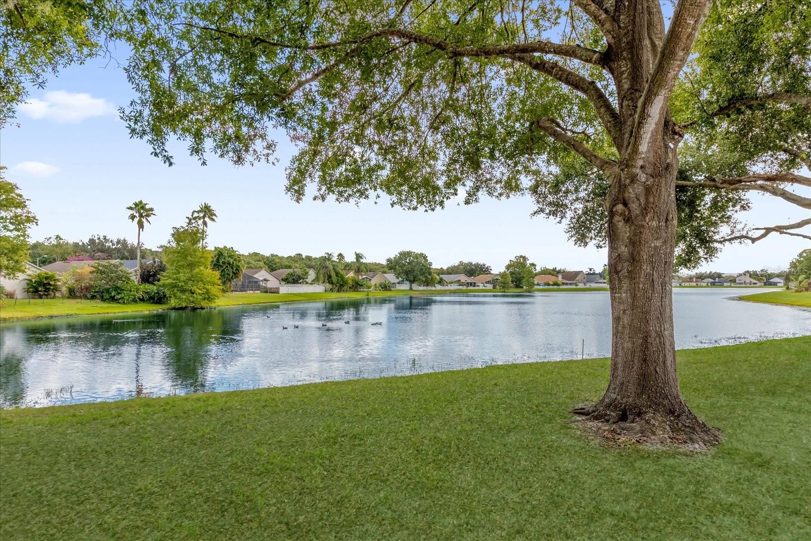 STONEBRIDGE PH 03 - Residential