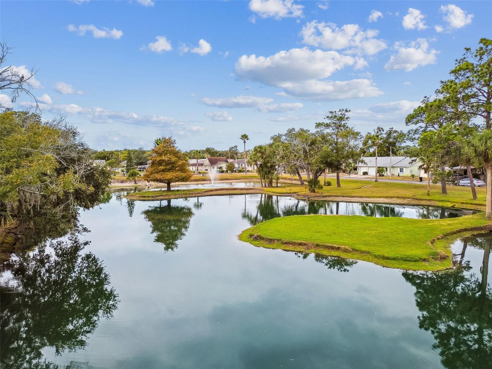 PINES NEW PORT RICHEY - Residential