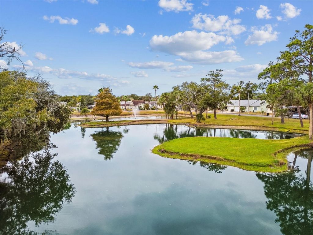 Photo of 6345 Emerson Drive, New Port Richey, FL 34653 (MLS # TB8458270)