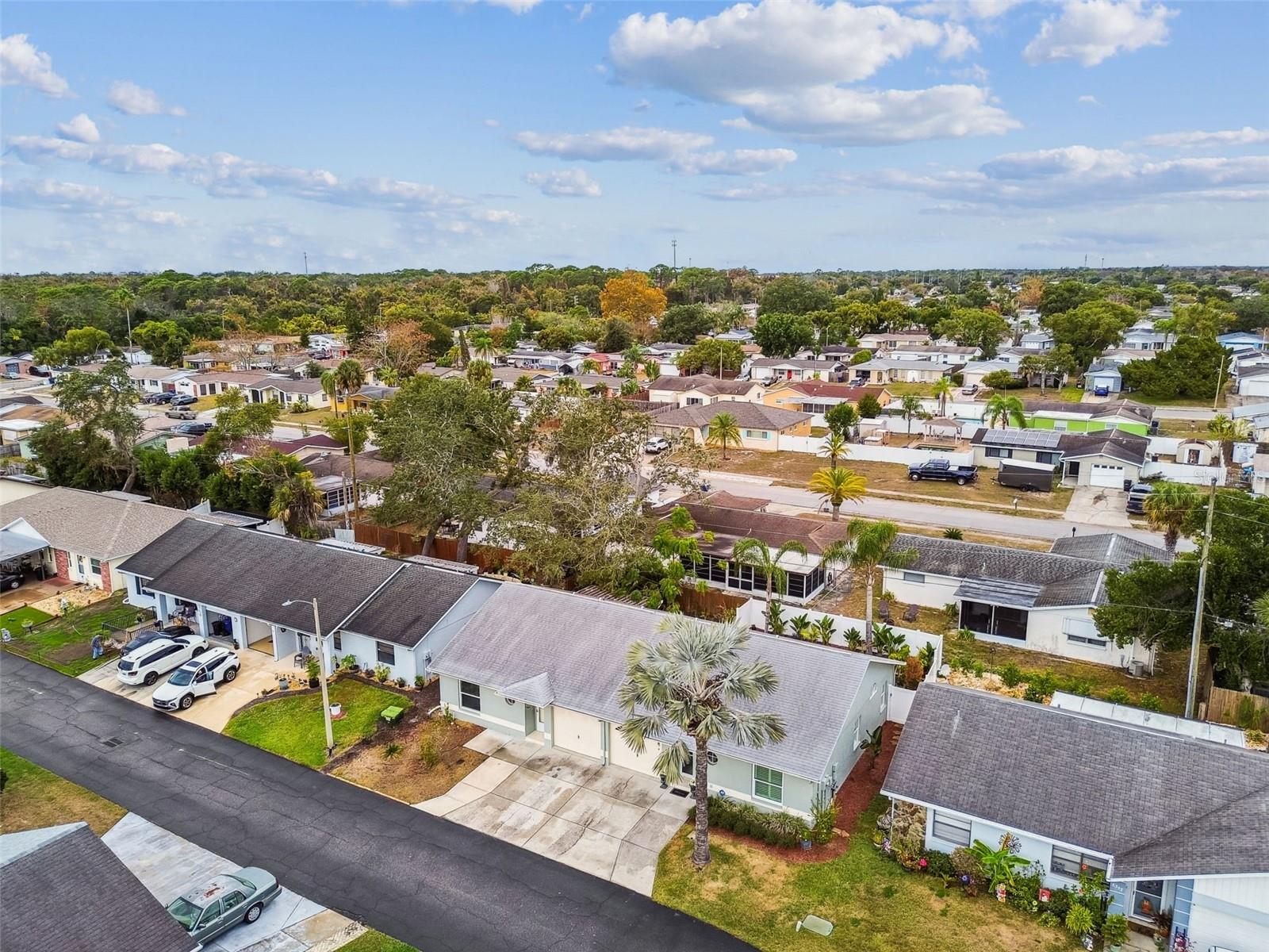 PINES NEW PORT RICHEY - Residential