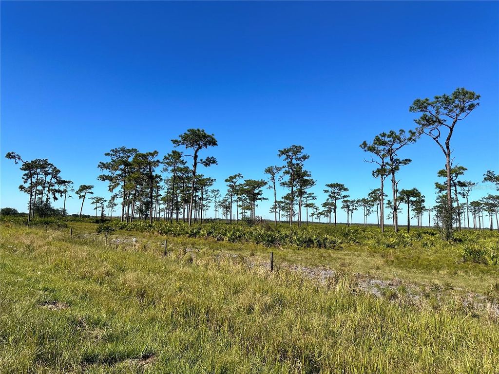Photo of E County Line Road, Fort Meade, FL 33841 (MLS # L4949093)