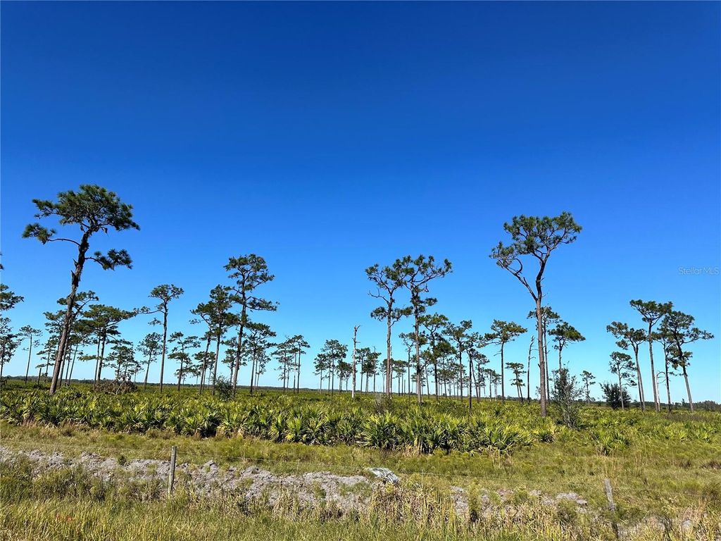 Photo of E County Line Road, Fort Meade, FL 33841 (MLS # L4949093)