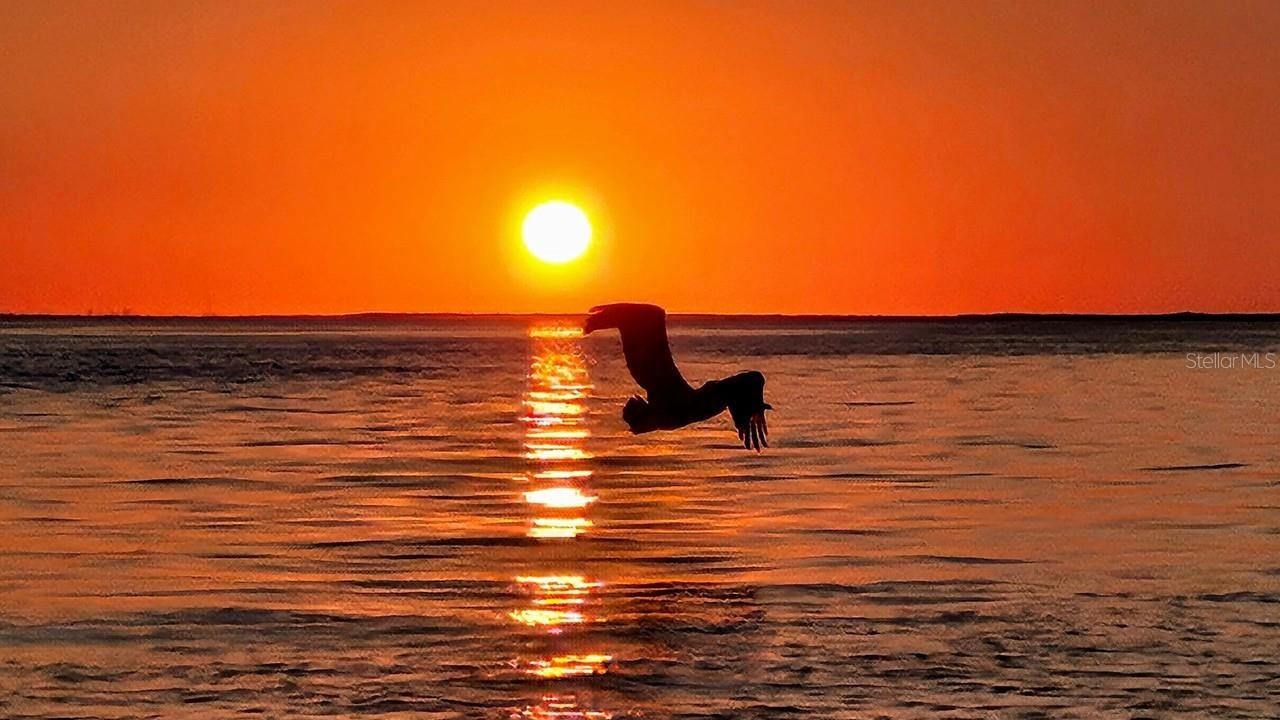 PEACE HARBOR - Residential