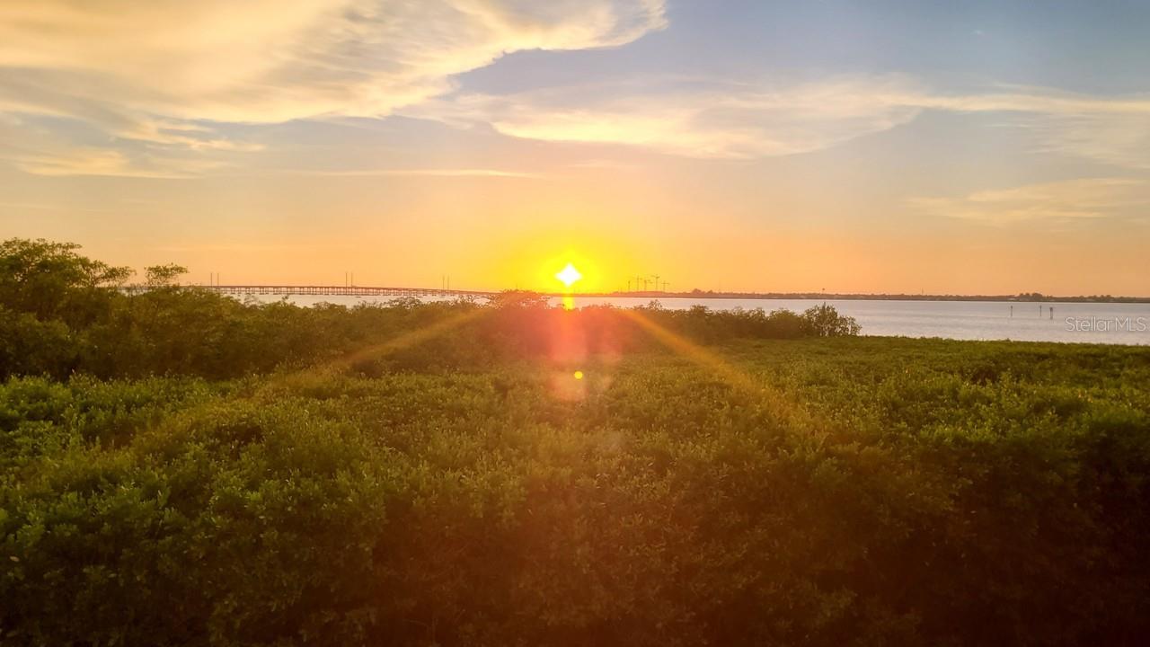 PEACE HARBOR - Residential