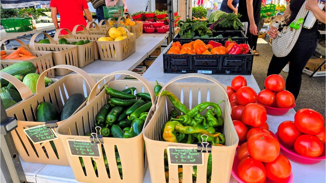 PEACE HARBOR - Residential