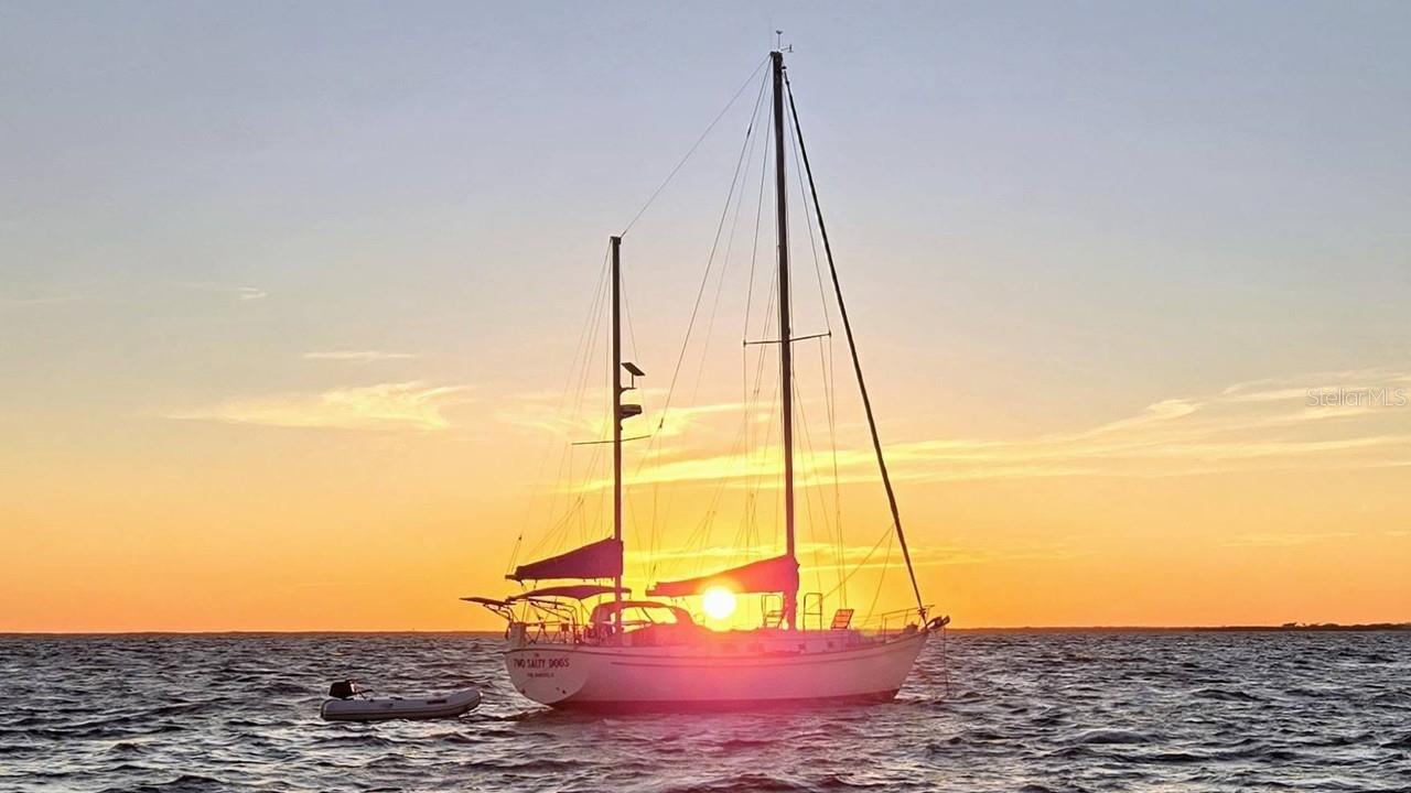 PEACE HARBOR - Residential