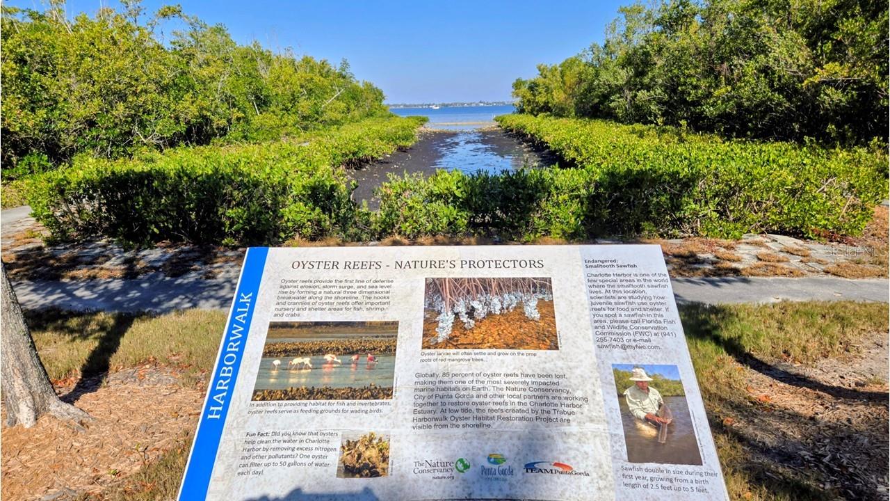 PEACE HARBOR - Residential