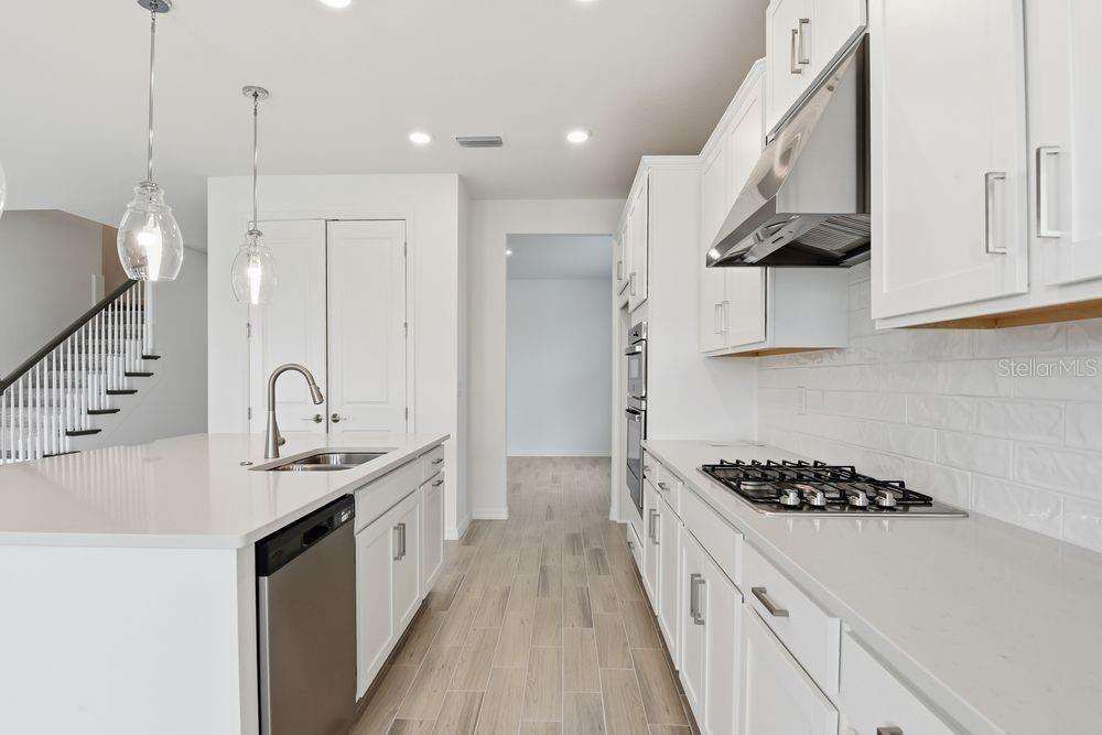 584 MOON SHELL CIRCLE