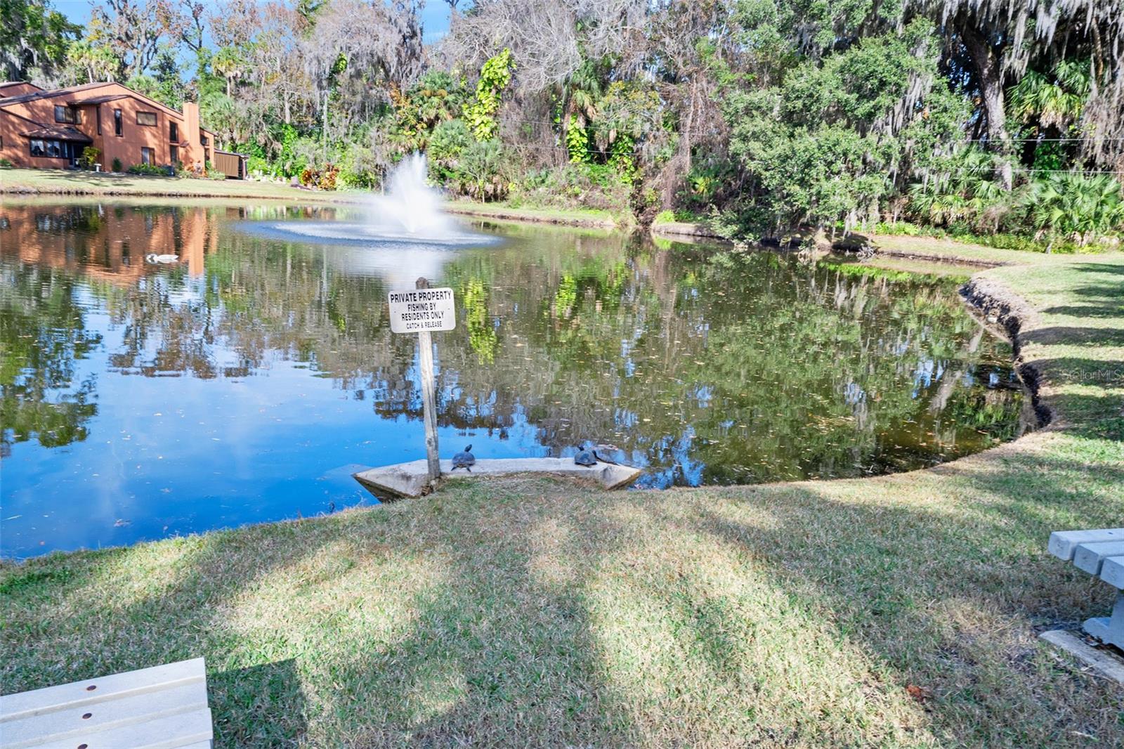 PARK PACE 02 - Residential