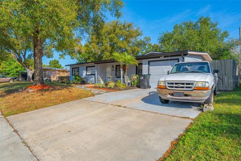 5221 CHENAULT AVENUE ORLANDO FL 32839