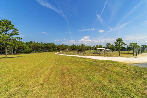 Tiny photo for 13750 SE 54th Street, Morriston, FL 32668 (MLS # OM708778)