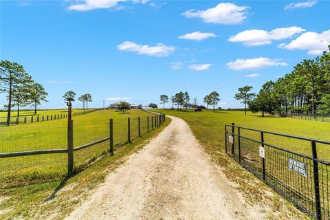 Tiny photo for 13750 SE 54th Street, Morriston, FL 32668 (MLS # OM708778)