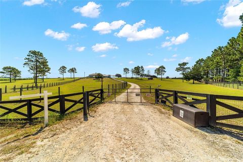 Tiny photo for 13750 SE 54th Street, Morriston, FL 32668 (MLS # OM708778)
