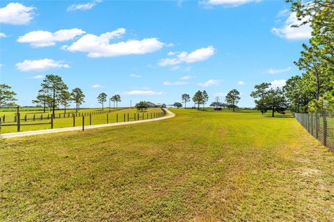 Tiny photo for 13750 SE 54th Street, Morriston, FL 32668 (MLS # OM708778)