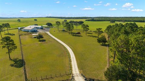 Tiny photo for 13750 SE 54th Street, Morriston, FL 32668 (MLS # OM708778)