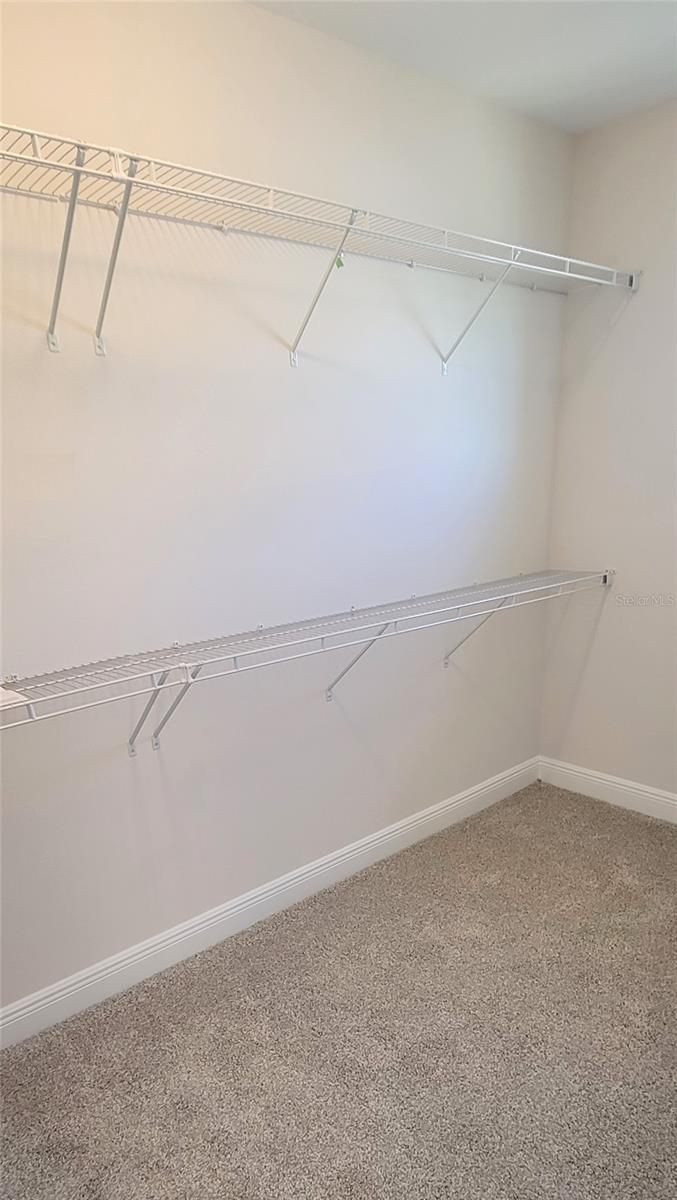 WATERLEIGH - Residential Lease