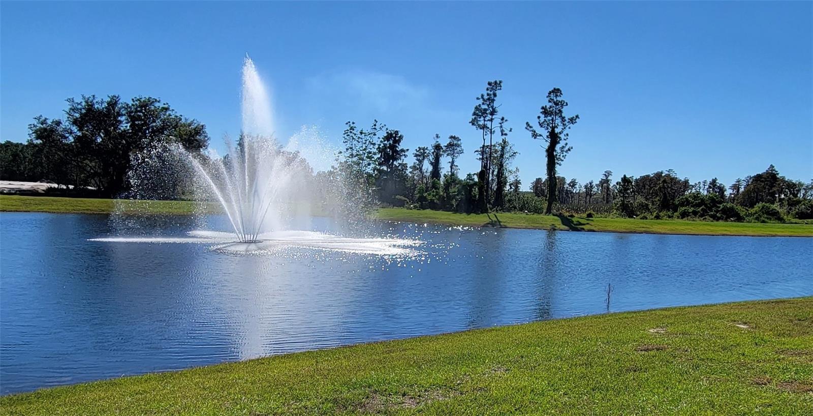 WATERLEIGH - Residential Lease