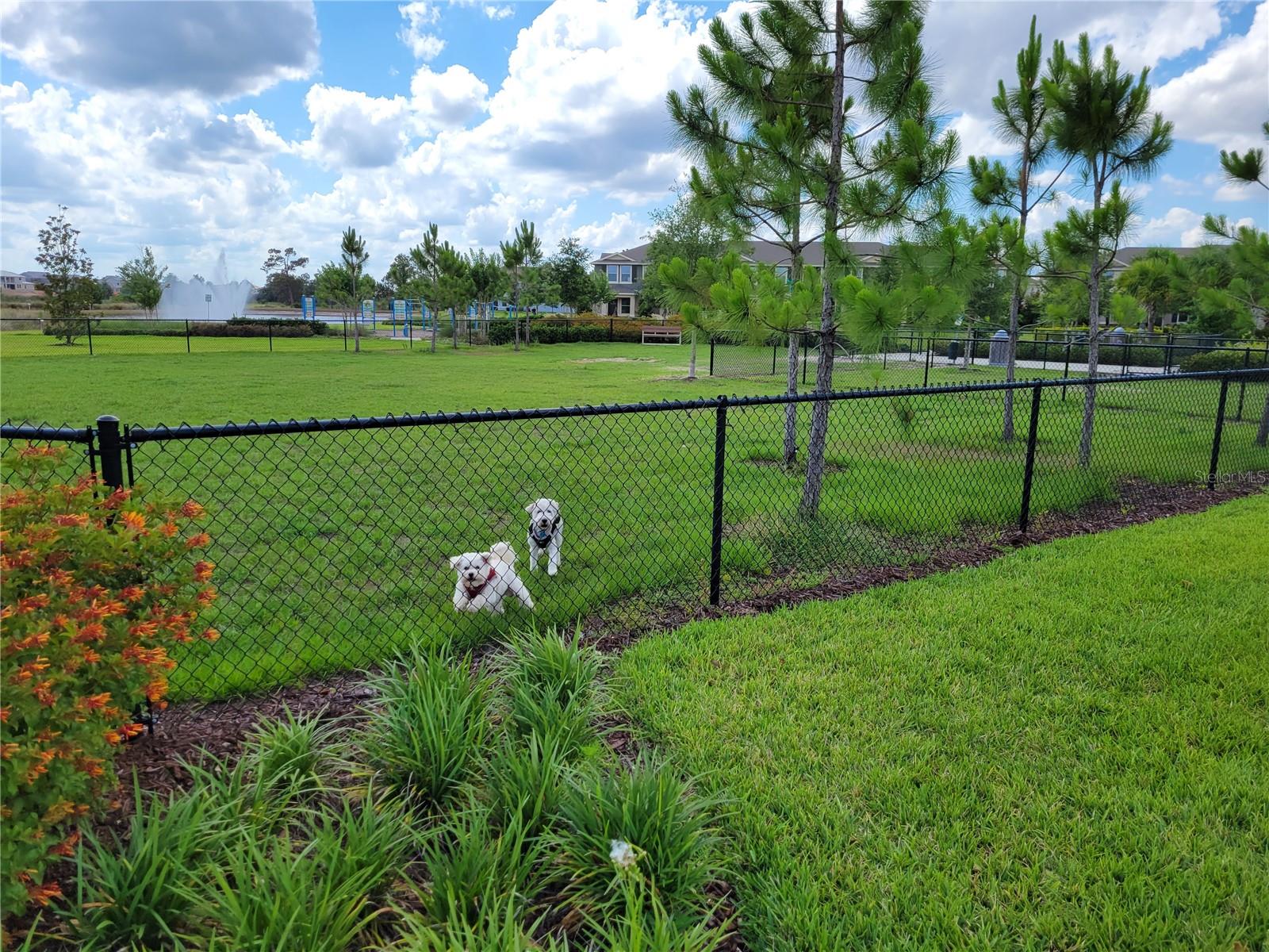 WATERLEIGH - Residential Lease