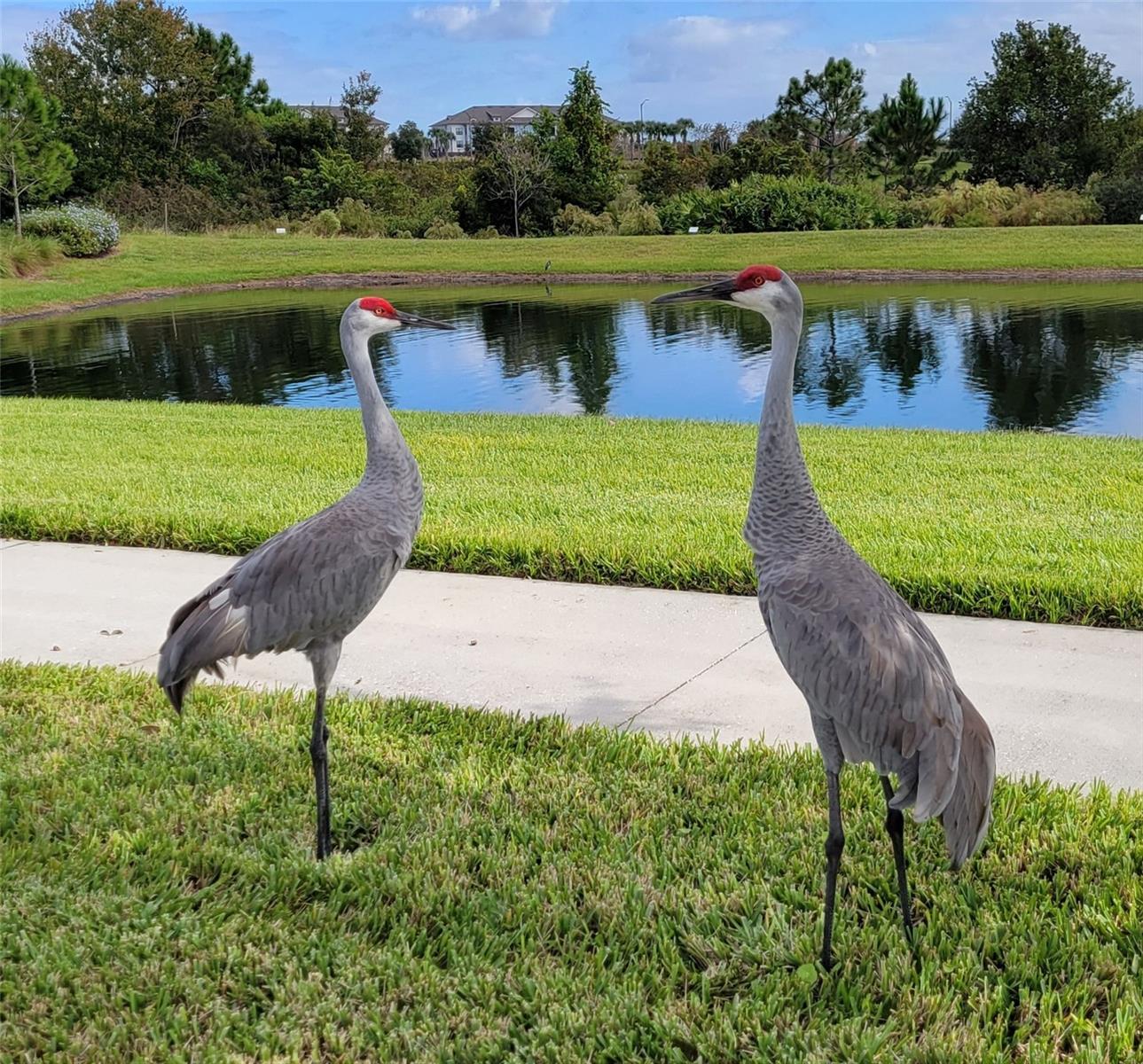 WATERLEIGH - Residential Lease