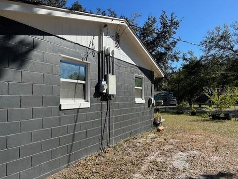 A home in MOUNT DORA