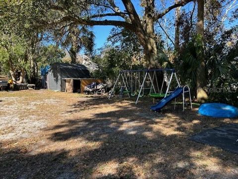 A home in MOUNT DORA