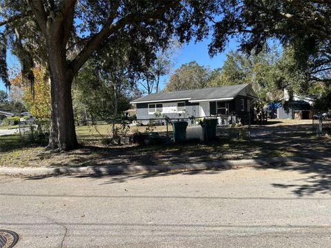 A home in MOUNT DORA