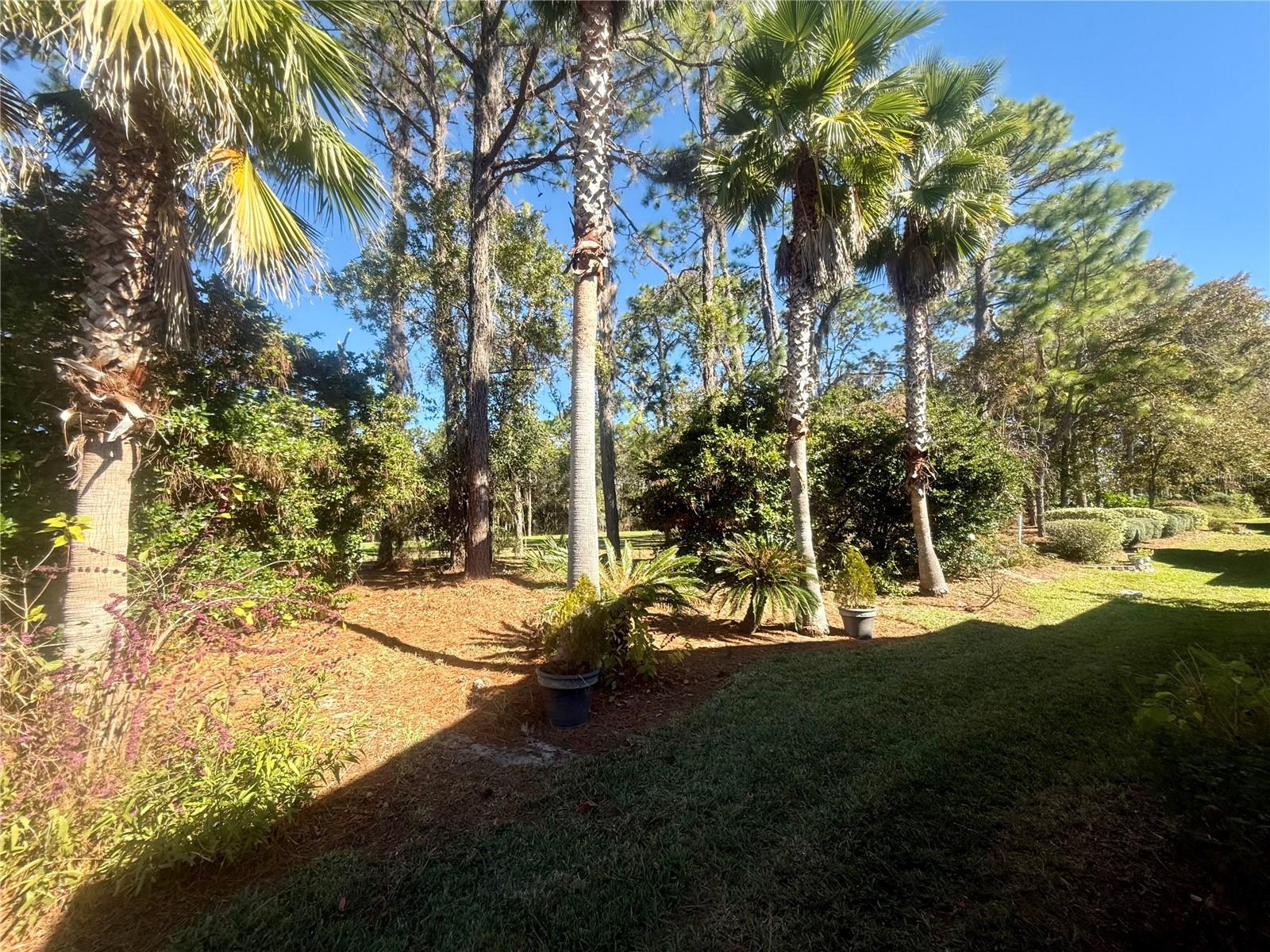 OAK RUN LAUREL OAKS - Residential