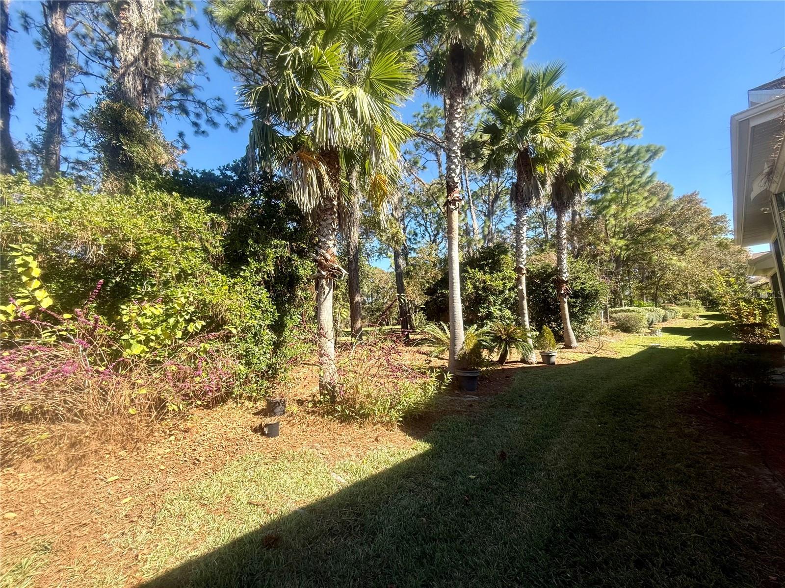 OAK RUN LAUREL OAKS - Residential