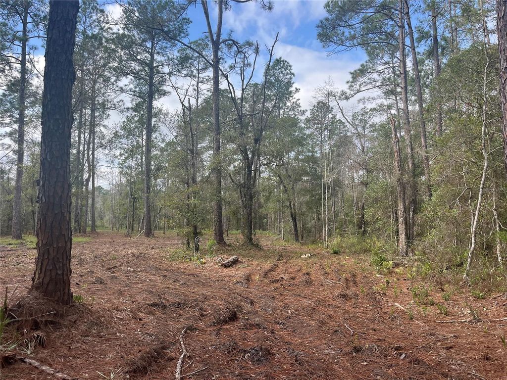 Photo of 10530 Gregory Ave, Hastings, FL 32145 (MLS # FC314541)