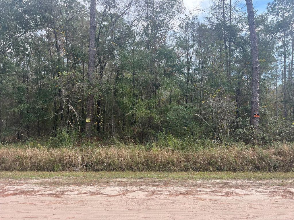 Photo of 10530 Gregory Ave, Hastings, FL 32145 (MLS # FC314541)