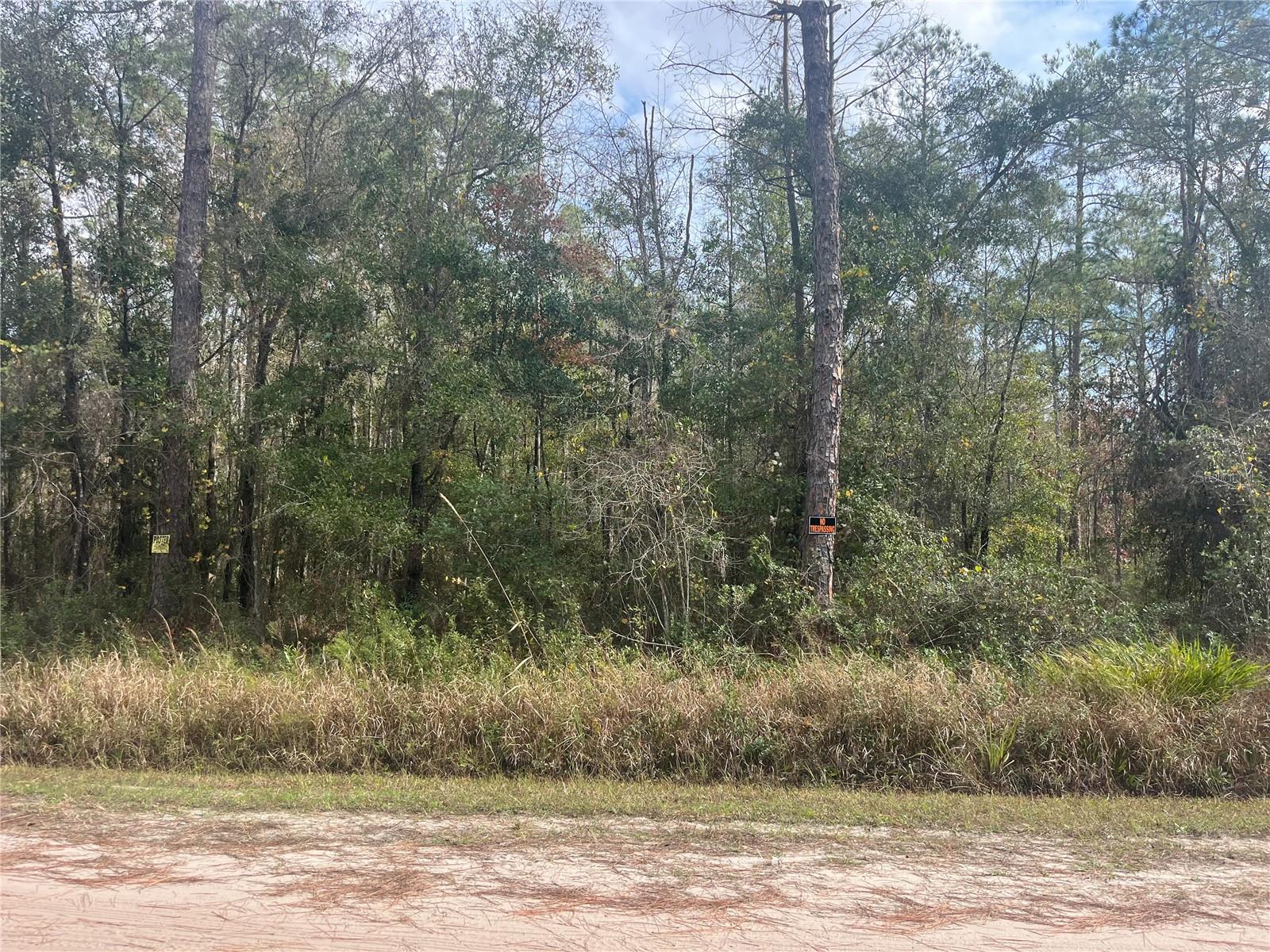 FLAGLER ESTATES - Land