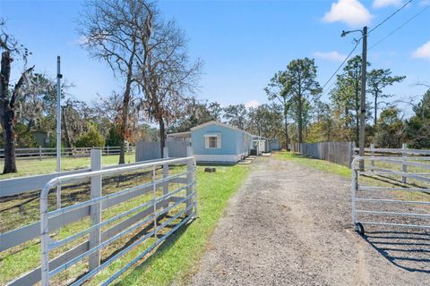 Photo of 12222 Beagle Road, Hudson, FL 34667 (MLS # W7882611)