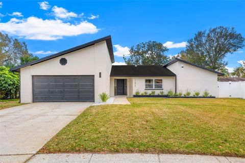 11876 MARLA LANE SEMINOLE FL 33772