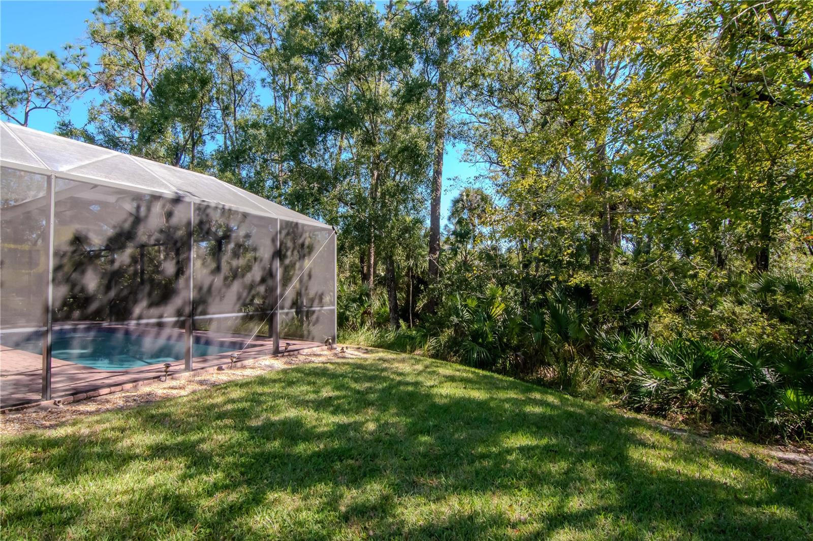 BUCKINGHAM AT TAMPA PALMS - Residential