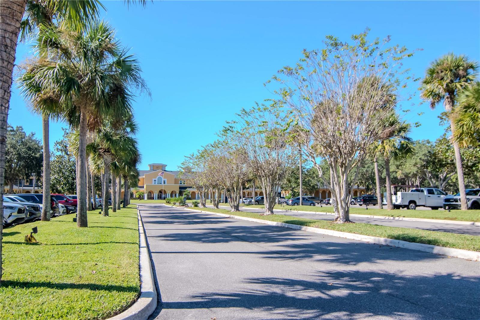 BUCKINGHAM AT TAMPA PALMS - Residential