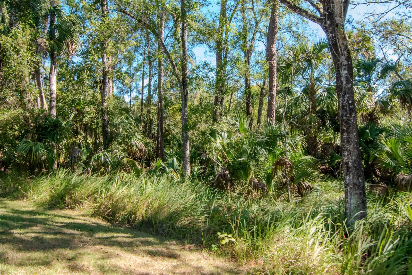 BUCKINGHAM AT TAMPA PALMS - Residential
