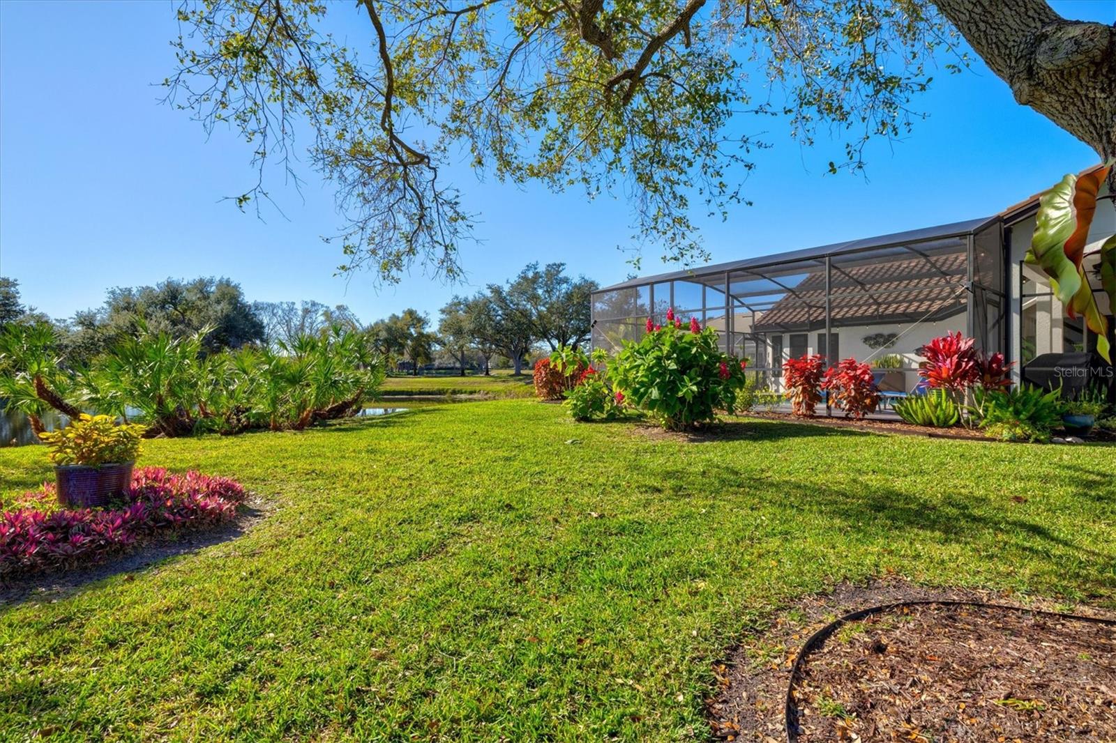 CHESTNUT CREEK MANORS - Residential