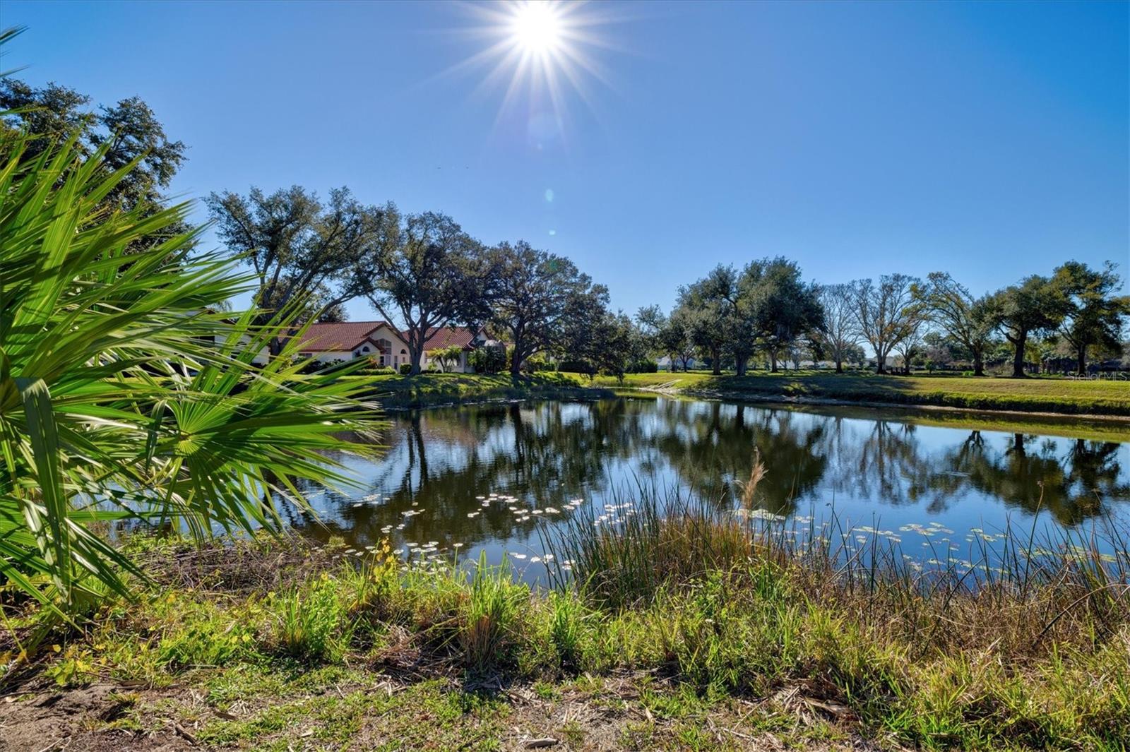 CHESTNUT CREEK MANORS - Residential