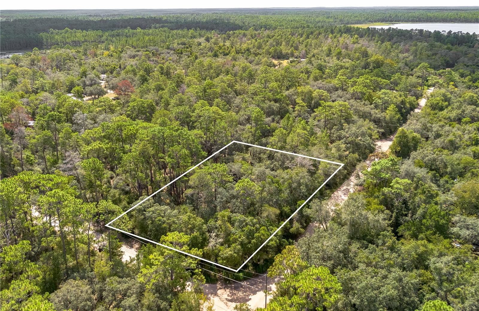 Buildable Lot in a peaceful, quiet location. This lot is just under .5 acres. This gives you plenty of space to create your ideal retreat. Ocklawaha is located in Southeastern Marion County. Fishing, hunting and nature trails are close at hand.