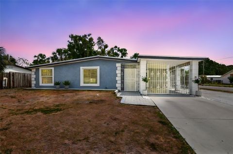 8006 TANGLEWOOD LANE TAMPA FL 33615