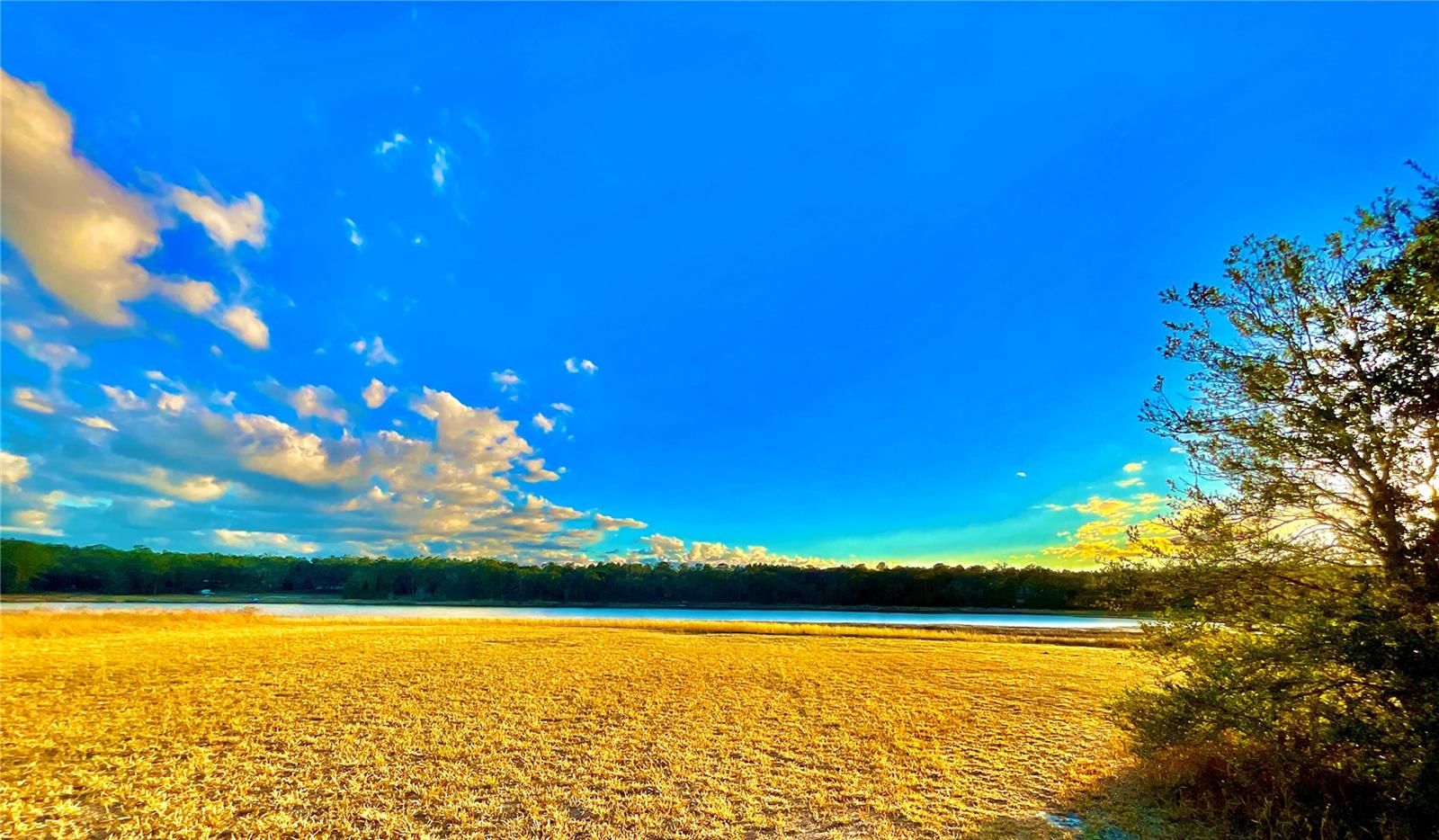 WEST LAKE MANOR - Residential