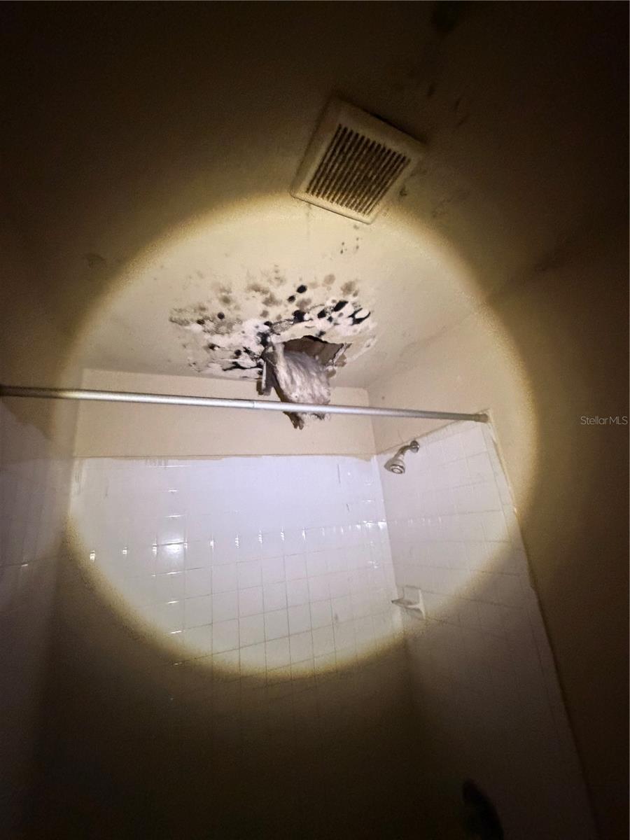 FERN CLIFF - Residential