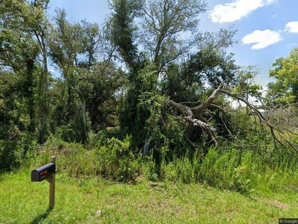 Photo of 29351 Daisy Street, Punta Gorda, FL 33982 (MLS # W7886942)