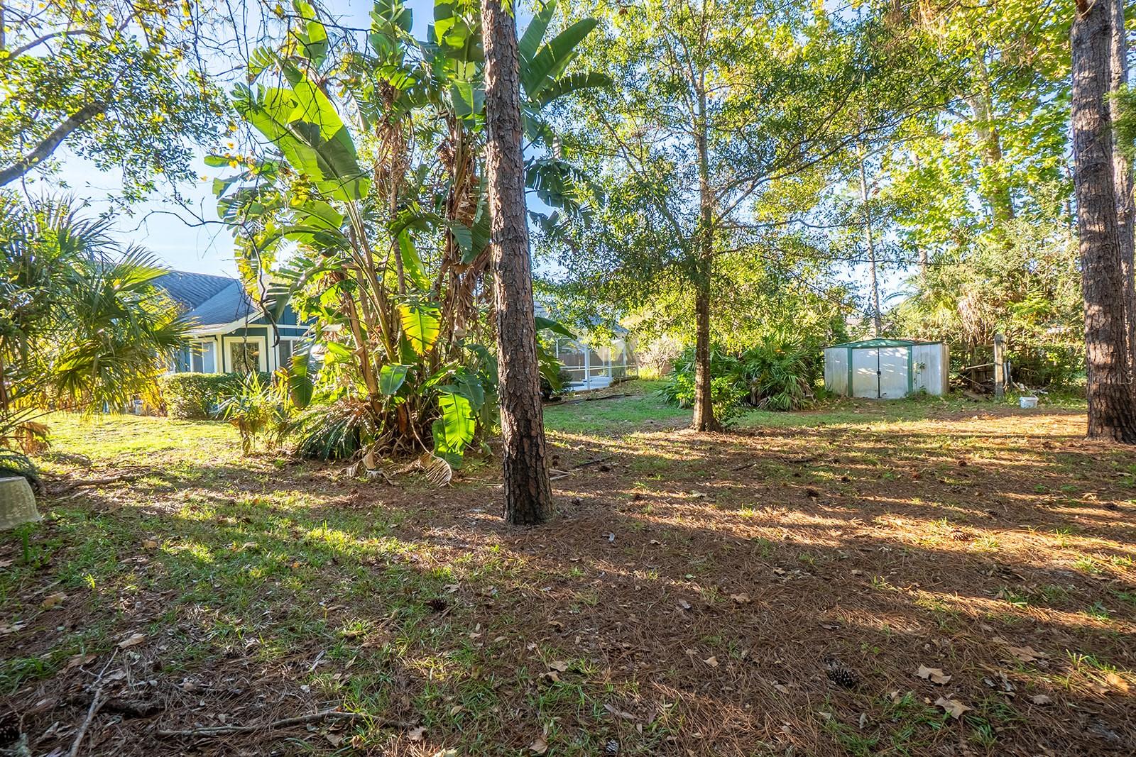 PALM COAST SEC 23 - Residential