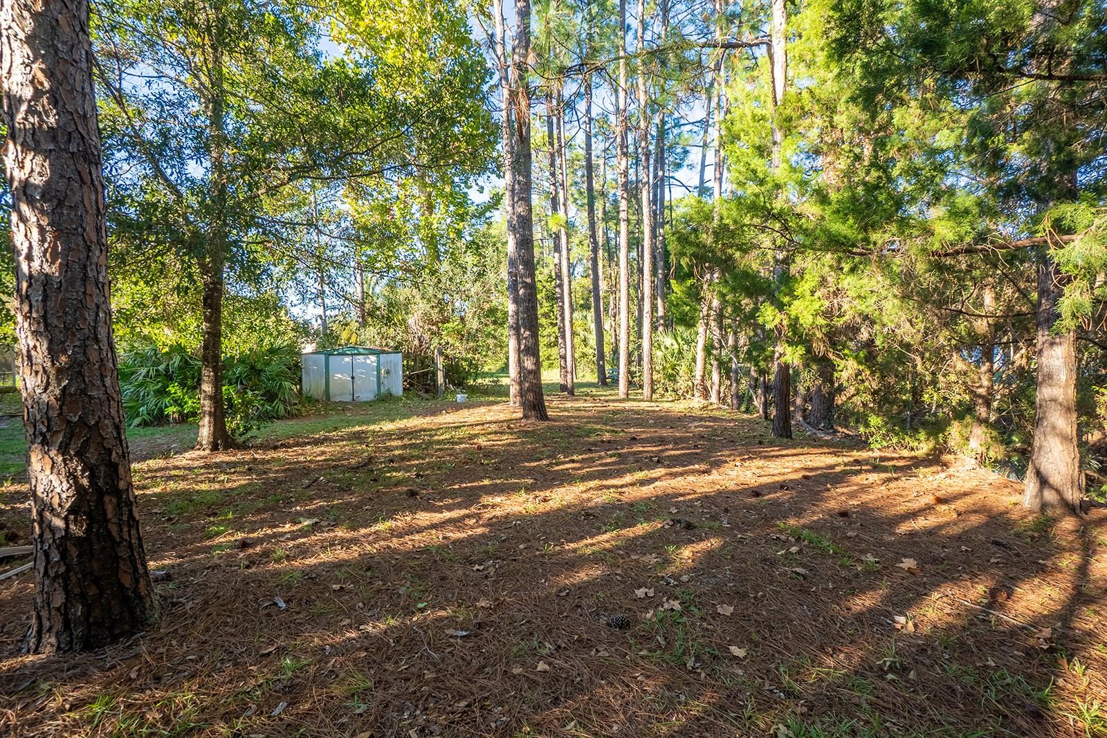 PALM COAST SEC 23 - Residential