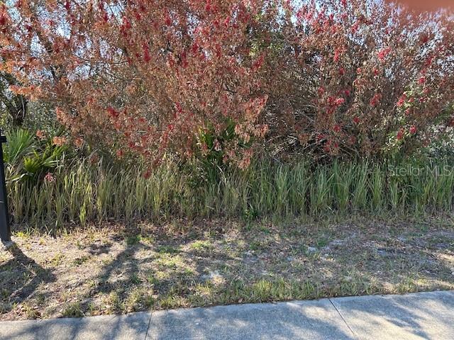 DELTONA LAKES UNIT 19 - Land