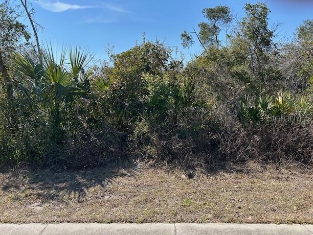 DELTONA LAKES UNIT 19 - Land