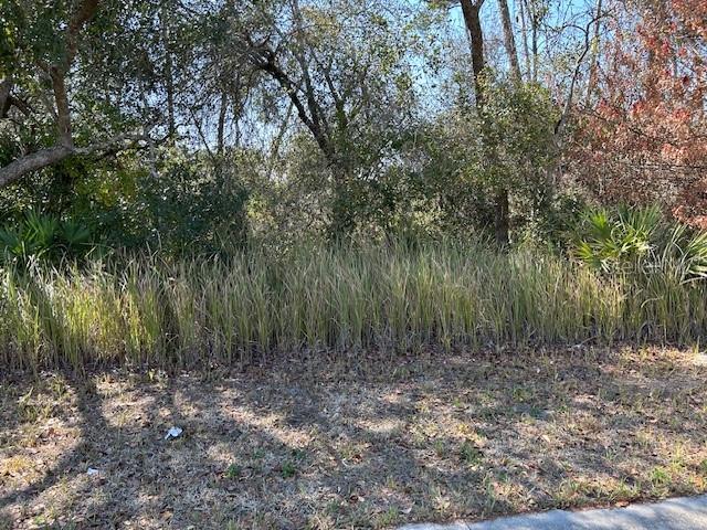 DELTONA LAKES UNIT 19 - Land