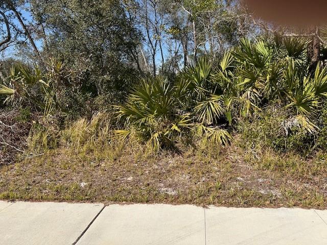 DELTONA LAKES UNIT 19 - Land
